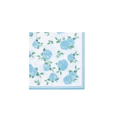 PQ 100 SERVIETTE MOTIFS ASS