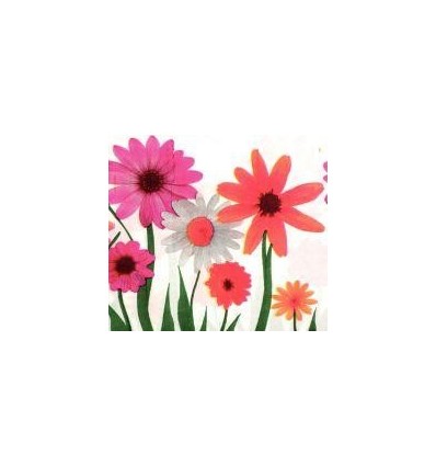 PQ 100 SERVIETTE MOTIFS ASS