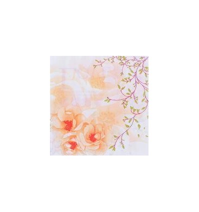 PQ 100 SERVIETTE MOTIFS ASS