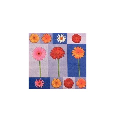 PQ 100 SERVIETTE MOTIFS ASS