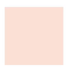 RAM 500F FIRST A4 80G SAUMON 2