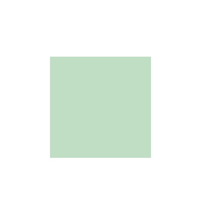 RAM 500F FIRST A4 80G VERT