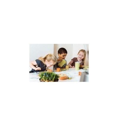 DINETTE BIOPLASTIC 79PCS/8COUV