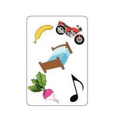 TAM TAM SAFARI-CP NIVEAU 1