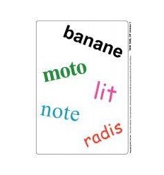 TAM TAM SAFARI-CP NIVEAU 1 2