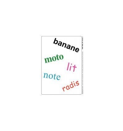 TAM TAM SAFARI-CP NIVEAU 1