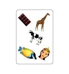 TAM TAM SAFARI-CP NIVEAU 2