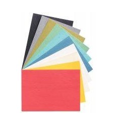 PQ 100COUV GRAIN CUIR ROUGE 2