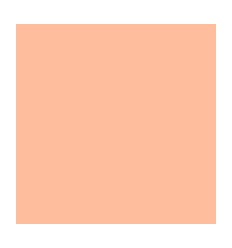 PQ 250 S/CHEM 60G 22X31 ASS 2