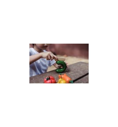 LOT 5 FRUIT/LEGUME MOCHES BOIS