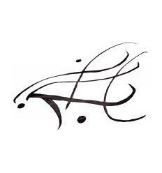 FL 250ML ENCRE CHINE NOIR MAJU