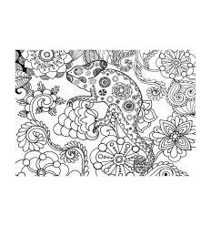 LOT 5 COLORIAGE GEANT CAMELEON 2