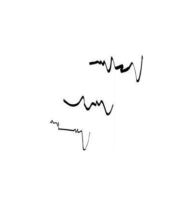 POCH 3 FEUTRE CALLIGRAPHIE NOI