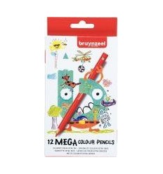 ETUI 12 CRAYON COUL GROS MODEL 2