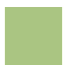 PQ 10F DESSIN 50X65 160G TILLE