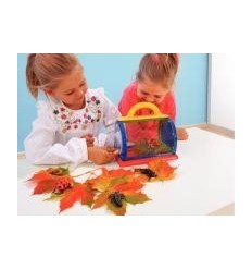 BOITE OBSERVATION INSECTES