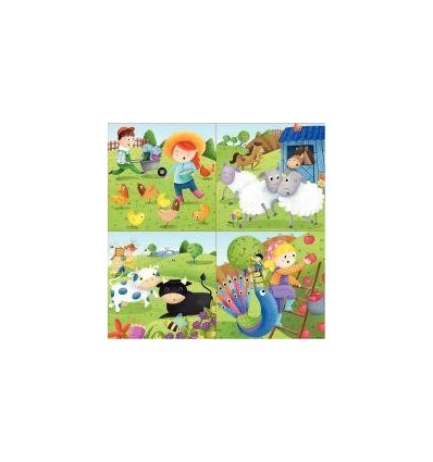 BTE 4 PUZZ PROG FERME 16X16CM