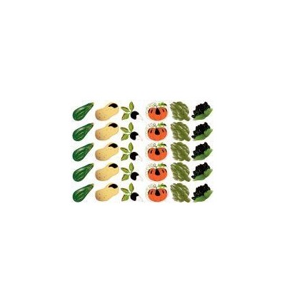 POCH 420GOMMETTE FANTAISIE ASS