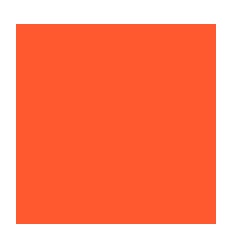 CHEM S/RAB+EL CL5/10 24X32 ORA 2