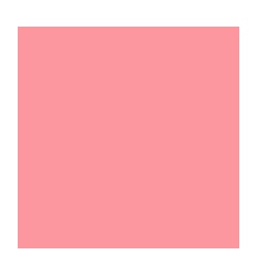 RAM 500F A3 80G ROSE RECYCLE