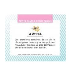 BTE 100 IMAGE PETIT CHAT CHIEN 2