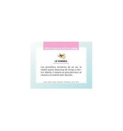 BTE 100 IMAGE PETIT CHAT CHIEN