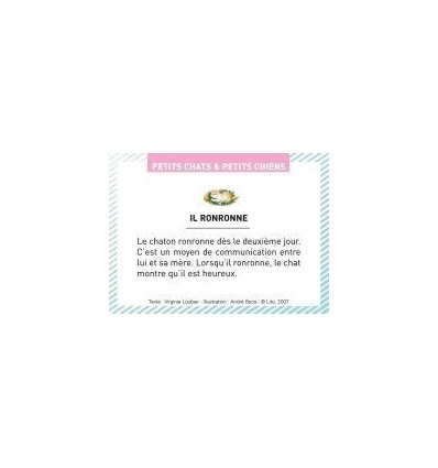 BTE 100 IMAGE PETIT CHAT CHIEN