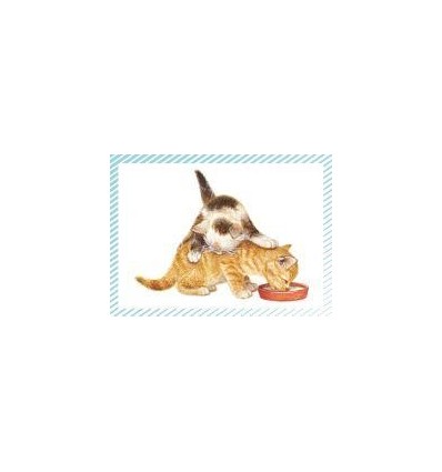 BTE 100 IMAGE PETIT CHAT CHIEN