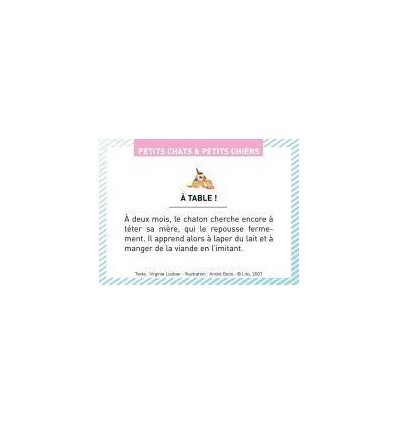 BTE 100 IMAGE PETIT CHAT CHIEN