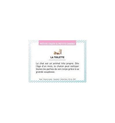 BTE 100 IMAGE PETIT CHAT CHIEN