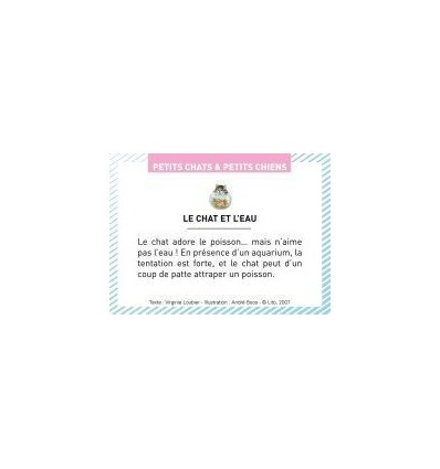 BTE 100 IMAGE PETIT CHAT CHIEN