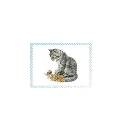 BTE 100 IMAGE PETIT CHAT CHIEN