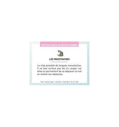 BTE 100 IMAGE PETIT CHAT CHIEN