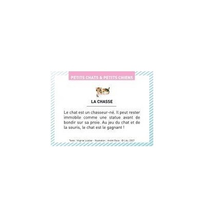 BTE 100 IMAGE PETIT CHAT CHIEN