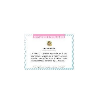 BTE 100 IMAGE PETIT CHAT CHIEN