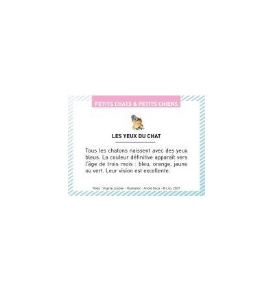 BTE 100 IMAGE PETIT CHAT CHIEN