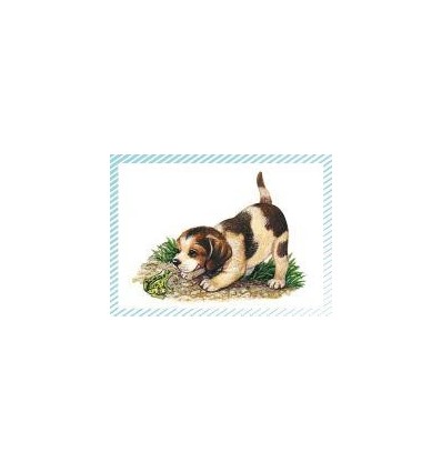 BTE 100 IMAGE PETIT CHAT CHIEN