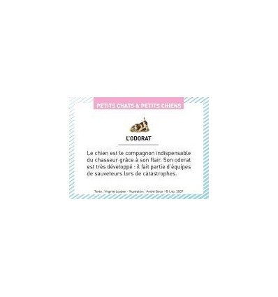 BTE 100 IMAGE PETIT CHAT CHIEN