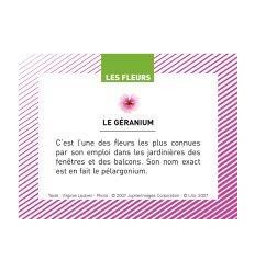 BTE 100 IMAGE LES FLEURS 2