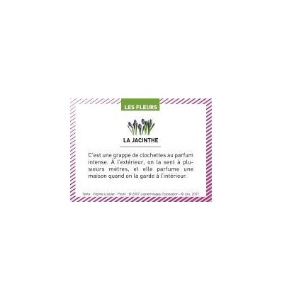 BTE 100 IMAGE LES FLEURS