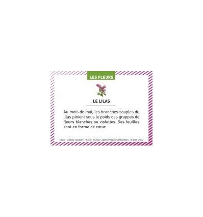 BTE 100 IMAGE LES FLEURS