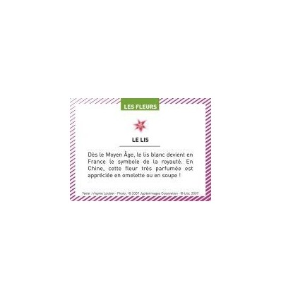 BTE 100 IMAGE LES FLEURS