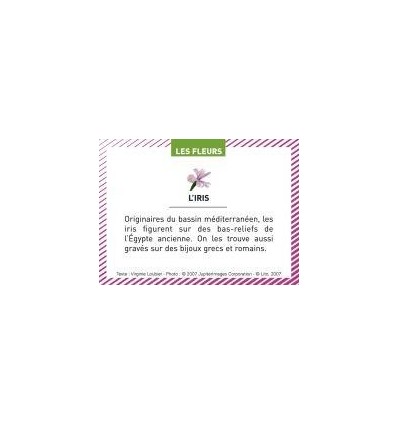 BTE 100 IMAGE LES FLEURS