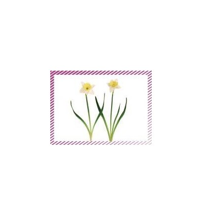 BTE 100 IMAGE LES FLEURS