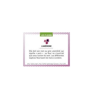 BTE 100 IMAGE LES FLEURS