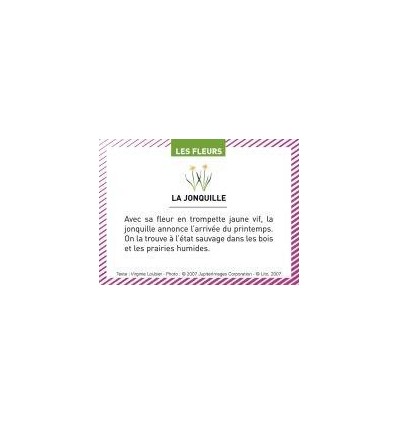 BTE 100 IMAGE LES FLEURS