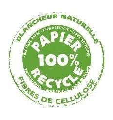 PQ 10F CARTA 50X65 270G OUTREM