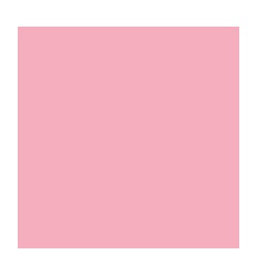 SURLIGNEUR ROSE PETALE 2