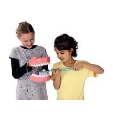 LA BOUCHE-LES DENTS + BROSSE