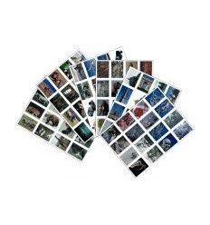 LOT 96 IMAGES EN PLANCHE 6X8CM